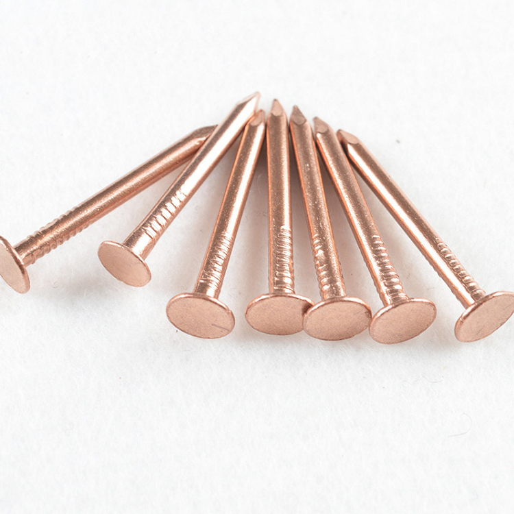 All kinds of red copper nail manufacturers suppl